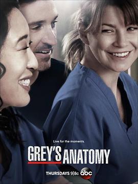 <span style='color:red'>实习医生</span>格蕾 第十季 Grey's Anatomy Season 10