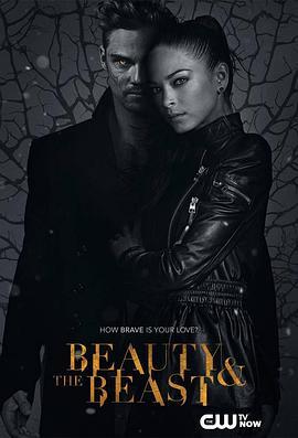 侠胆雄狮 第三季 Beauty and the Beast Season 3