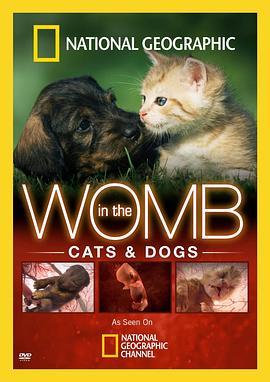 子宫日记：猫与犬 In the Womb: Cats and Dogs