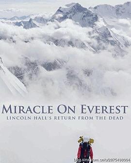 奇迹珠峰 Miracle on Everest