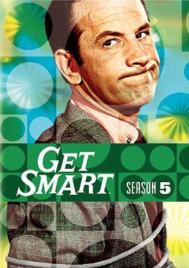糊涂侦探 第五季 Get Smart Season 5
