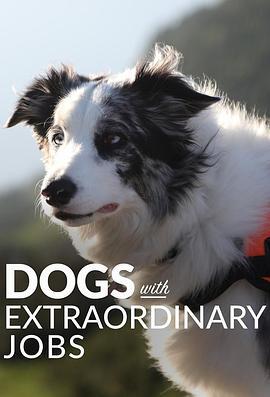 狗狗的非凡工作 第一季 Dogs with Extraordinary Jobs Season 1