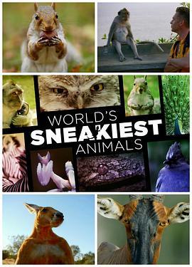 世界上最狡猾的动物 World's Sneakiest Animals