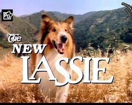 灵犬莱西 The New Lassie
