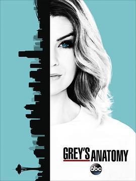 <span style='color:red'>实习医生</span>格蕾 第十三季 Grey's Anatomy Season 13
