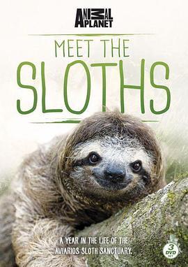 树懒的<span style='color:red'>快乐生活</span> Meet The Sloths