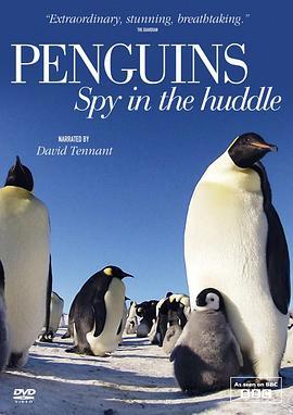 企鹅群里有特务 <span style='color:red'>Penguins</span>: Spy in the Huddle