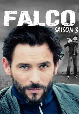 最后的警察(法国版) 第三季 Falco Season 3