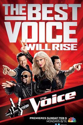 美国之声 第二季 The Voice Season 2