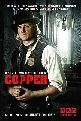 纽约警察故事 第二季 Copper Season 2