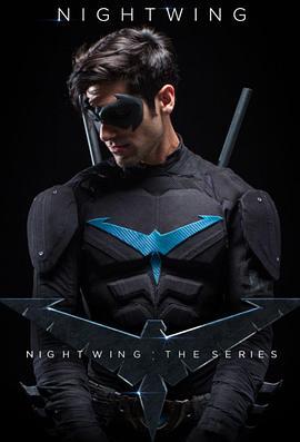 夜翼：传承 Nightwing: The Series
