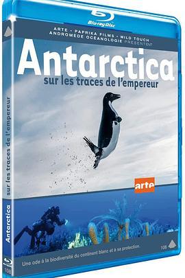 远征南极洲 Antarctica, sur les <span style='color:red'>trace</span>s de l'empereur