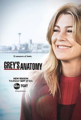 实习医生格蕾 第<span style='color:red'>十五</span>季 Grey's Anatomy Season 15