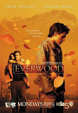 雪山镇 第一季 Everwood Season 1