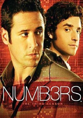 <span style='color:red'>数</span><span style='color:red'>字</span>追凶 第三季 Numb3rs Season 3