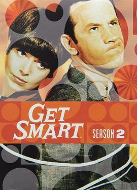 糊涂侦探 第二季 Get Smart Season 2