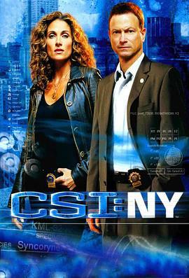 犯罪现场调查：纽约 第四季 CSI: NY Season 4