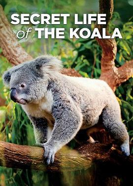 考拉的秘密生活 第一季 Secret Life of the Koala Season 1