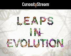 飞跃进化 Leaps in Evolution