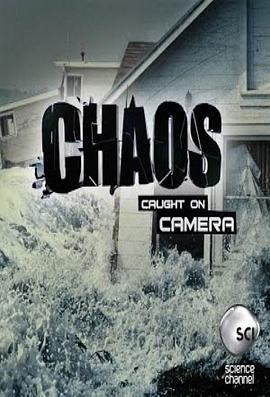 真实一刻 Chaos Caught On Camera