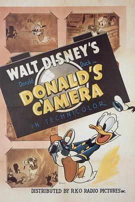 唐老鸭的照相机 Donald's Camera