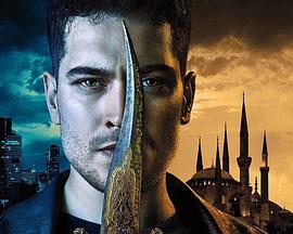 守护者 第四季 The Protector Season 4