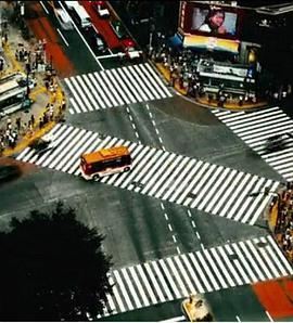 涉谷<span style='color:red'>十字路口</span> Shibuya Crossings