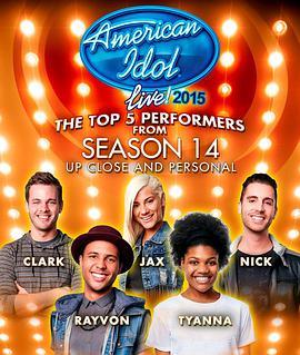 美国偶像 第十四季 American Idol Season 14