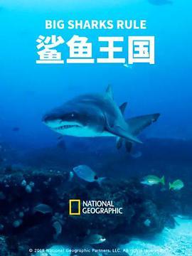 鲨鱼王国 Big Sharks Rule