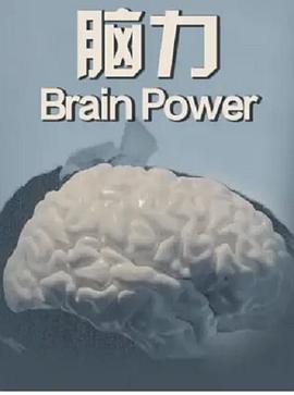 <span style='color:red'>脑</span>力 <span style='color:red'>Brain</span> Power