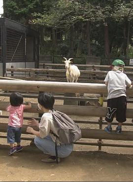 纪实72小时 川崎 山丘上的动物园 ドキュメント72時間：川崎 丘の上の動物公園