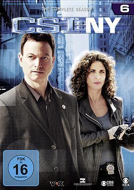 犯罪现场调查：纽约 第六季 CSI: NY Season 6