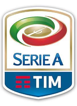 意甲联赛2010-2011赛季 Serie A 2010-2011