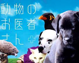 爱心动物医生 動物のお医者さん