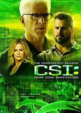 犯罪现场调查 第十四季 CSI: Crime Scene Investigation Season 14