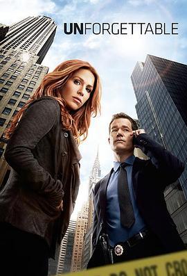 记忆神探 第四季 Unforgettable Season 4