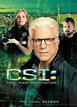 犯罪现场调查 第十五季 CSI: Crime Scene Investigation Season 15