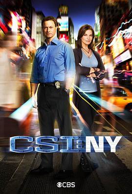 犯罪现场调查：纽约 第八季 CSI: NY Season 8