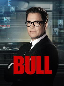 庭审专家 第六季 Bull Season 6