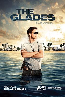 血迷棕榈 第三季 The Glades Season 3