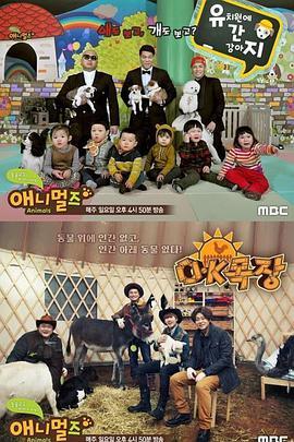 ANIMALS 애니멀즈
