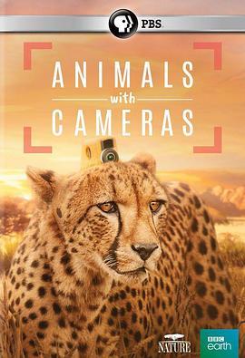假如动物会摄影 Animals with Cameras