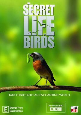 鸟类秘闻 Secret Life of Birds