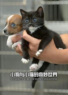 小狗与小猫的奇妙世界 The Wonderful World of Puppies and Kittens