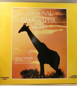 国家地理百年纪念典藏33:非洲野生动物 African Wildlife
