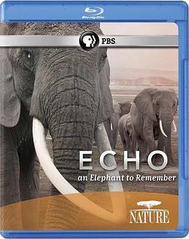 <span style='color:red'>大象</span>"回声"的回忆 Echo: An Elephant to Remember