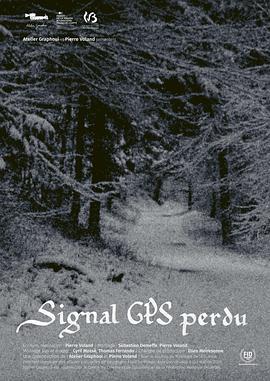 定位系统信号丢失 Signal GPS Perdu