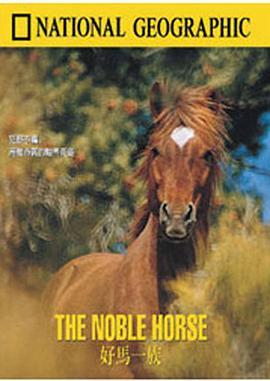 好马一族 The <span style='color:red'>Noble</span> Horse