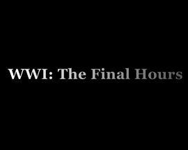 一战:最终时刻 WWI: The Final Hours
