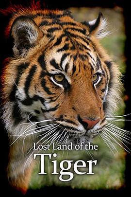老虎<span style='color:red'>失</span><span style='color:red'>落</span>之地 Lost Land of the Tiger